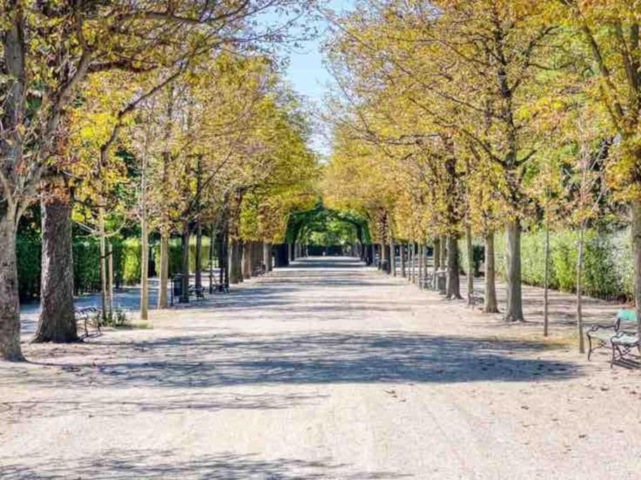 Center Apt In Best Area Near Park & Danube 20'To Airport Apartment Wina Bagian luar foto
